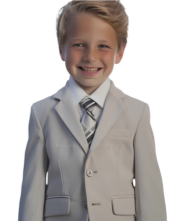 A - Executive Boys Light Grey Suit (18)
