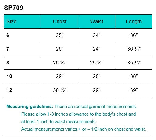 SP709 dress size chart