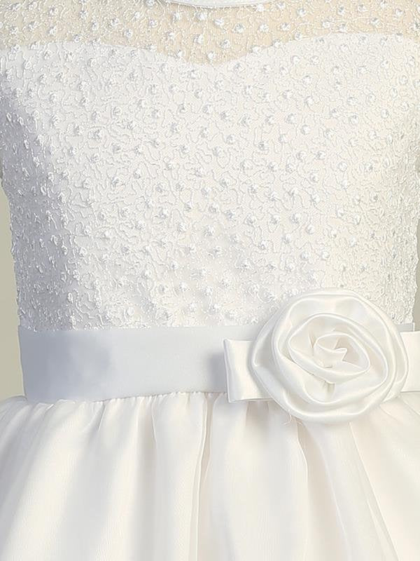 Close-up view of the embroidered tulle bodice, showcasing the intricate embroidery details.